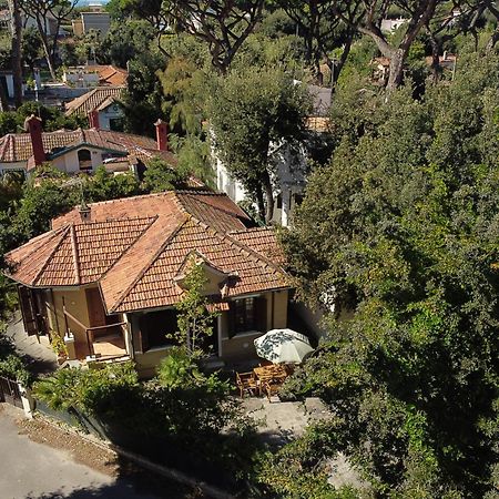 Exclusive Charming Villa - Free Parking 400 Mq Garden - Rome Airport - Roseto Villa Dream เฟรเจเน ภายนอก รูปภาพ